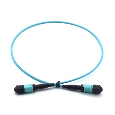 MPO/MPO-OM3-12F-3.0MM-LSZH-1M